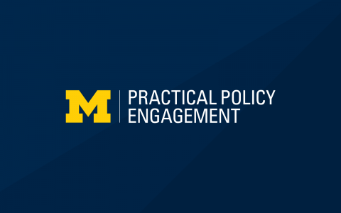 Program in Practical Policy Engagement informal logo